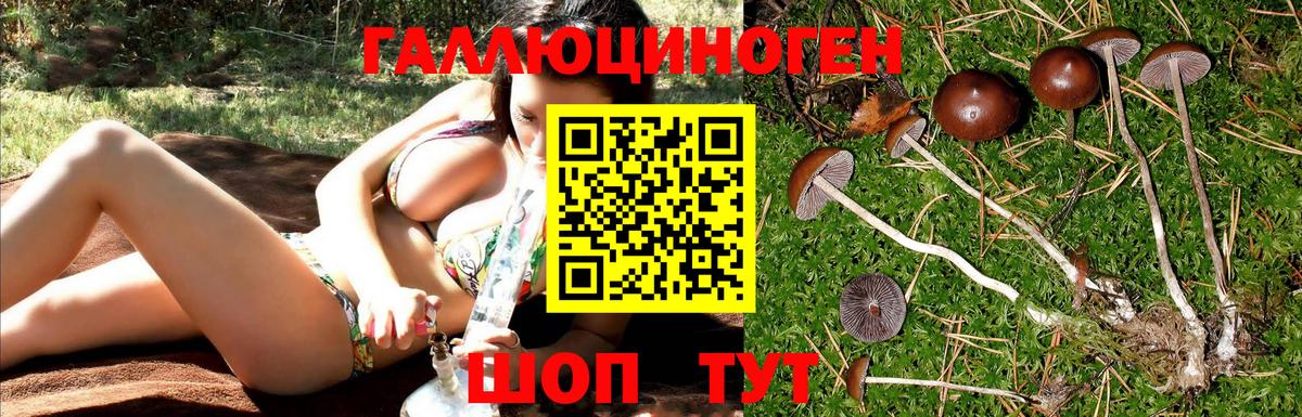 Псилоцибиновые грибы MAGIC MUSHROOMS  Вход с VPN  Туапсе  Галлюциногенные грибы мицелий 