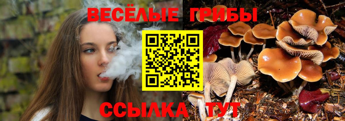 Псилоцибиновые грибы GOLDEN TEACHER Туапсе